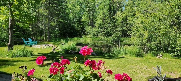 The Copper Squirrel is a secluded full log cabin on 10 acres. Hotels in Bayfield County