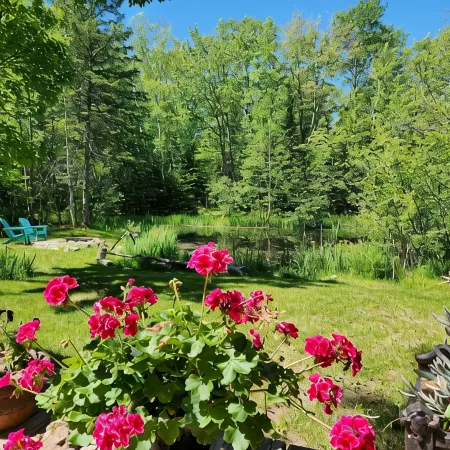 The Copper Squirrel is a secluded full log cabin on 10 acres.