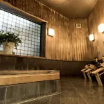 Hotel Hakuba Hifumi - Kaplıcalı