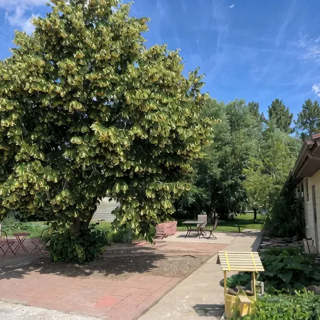 Small Town Living in Power, Montana