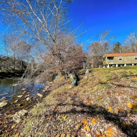 Meadow Riverfront Cabin