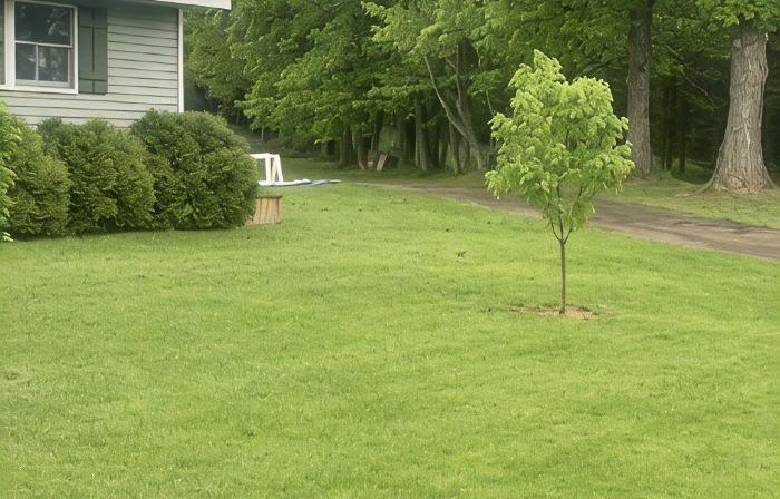 Newly remodeled ranch style home located in Lake Leelanau