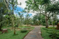 Hotel Butik Cafe & Resto Pesona Osing - parking
