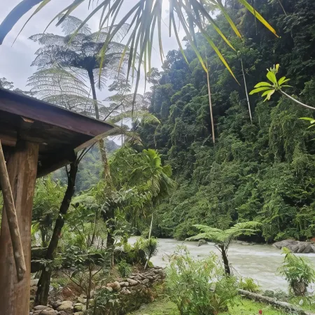 Back to Nature Ecotourism