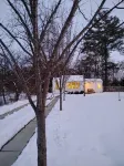 Quaint Guest Cottage - Homestays