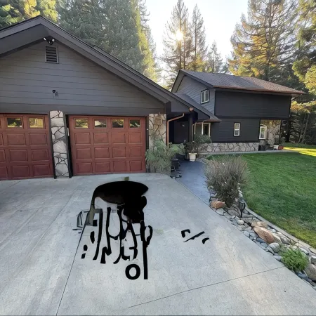 Chalet in the Majestic Redwoods 5 mins to Redwood National parks & Smith River.