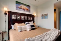 The Bear Den in Downtown Bozeman: Penthouse With Mountain Views