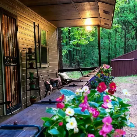 Cozy Cabin Surrounded by Beautiful Woods