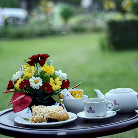 Hotel Sibayak Internasional
