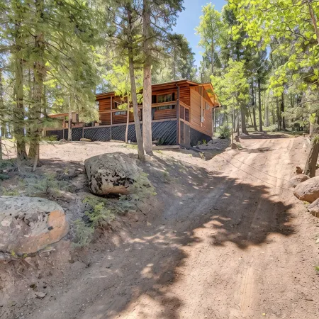 Mini Mountain Retreat surrounded by Trees in enchanting Divide with WiFi