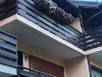 Sasso Rosso Apartment with Alps View Hotels in Folgarida