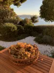 Cozy House: First-Row Beach, Accessibility, Hottub, AC, Gasgrill, W/D Prkng