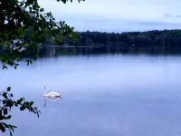Beautiful Cape Home Steps to Santuit Pond /Boating, Swimming, Fishing - Wifi