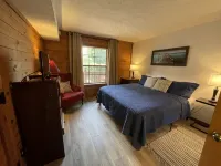 Cozy Ozarks Retreat ~ Updated Cabin Condo with Screened Porch - Chalets