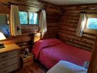 Log Home on Leader Lake- Quiet and Beautiful Sand Bottom Lake, Swim Fish Paddle - Alphydda