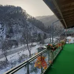 Gapyeong Beatrice Pension - Pet friendly