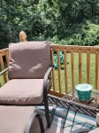 Secluded Cabin Retreat – Peace, Privacy & Nature - Chalets