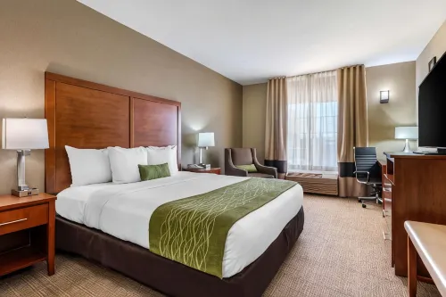 Comfort Inn & Suites Sacramento - University Area - 2-Star