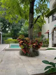Casa Valladolid Boutique Hotel - Frühstück