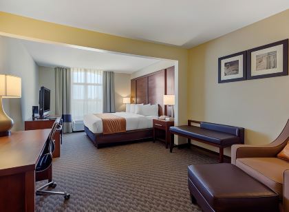 Comfort Inn & Suites SW Houston Sugarland