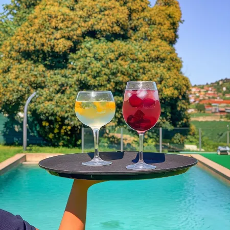 Quinta Sao Miguel de Arcos