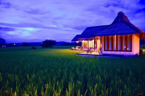 ที่พักดอยหลวงเชียงดาว