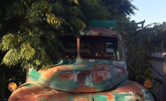 an old , rusted truck with a green roof is parked under a tree and has a person sitting in the back at Little River Bed and Breakfast