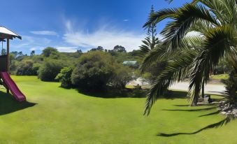 a lush green field with a palm tree in the foreground and a body of water in the background at Shining Star Beachfront Accommodation