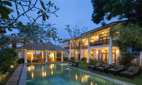 Bilin Tree House