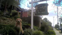 Gaslight Bed & Breakfast Hotels in Cincinnati