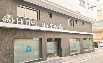Hotel Narcea