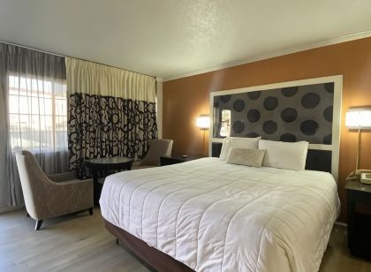 버짓 인 앳 더 헤븐리 곤돌라