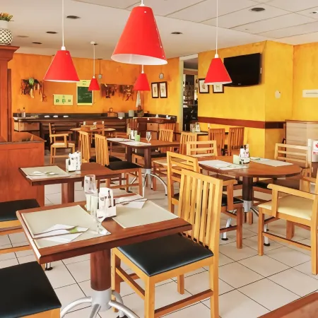 Ibis Teresina