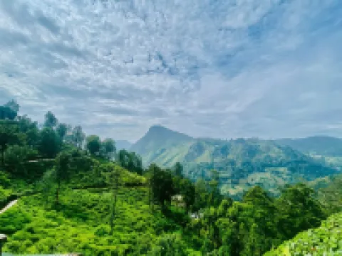 Ella Flower Garden Resort