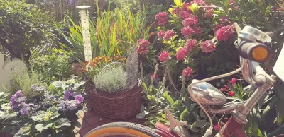 ホテル シォルツ Aalbaeumle Aussichtsturm周辺のホテル