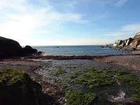 Ayrmer Path Hotel a Thurlestone