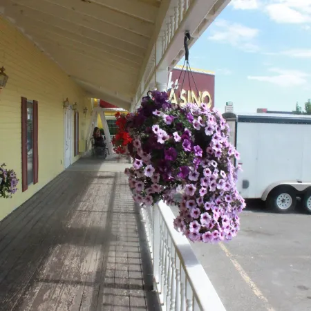 Four Jacks Hotel and Casino Отели в г. Джекпот