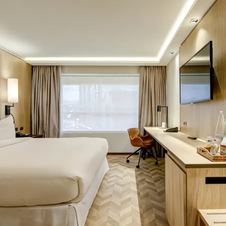 Hotel Plaza El Bosque Ebro