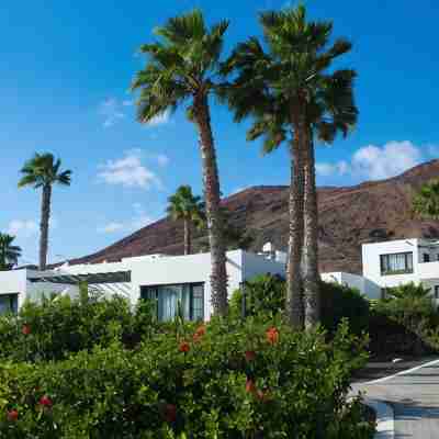 Palmeras Garden Hotel Exterior