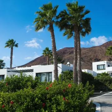 Palmeras Garden Hoteles cerca de Playa de La Campana
