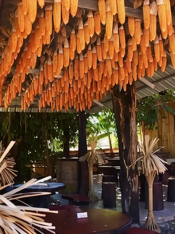 รูปภาพของบ้านไร่ใจแจ่ม/Ban Rai Jai Chaem-Spa Cafe & Homestay