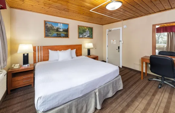 梅迪辛哈特伊克諾旅館及套房