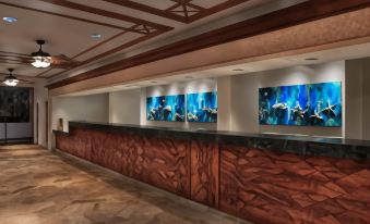 Marriott's Maui Ocean Club  - Lahaina & Napili Towers