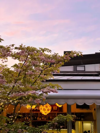 Бутик Отель 12 Отели в г. Зеленоградск