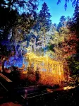 Secluded mystical cabin in Idyllwild-Pine Cove