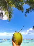 On Board Panglao Beach Hostel & Resort