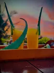 Aloe Transit Hotel