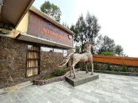 Lava View Lodge