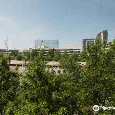 Hilton McLean Tysons Corner Hotel Exterior