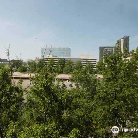 Hilton McLean Tysons Corner